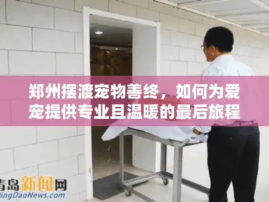 郑州摆渡宠物善终，如何为爱宠提供专业且温暖的最后旅程？