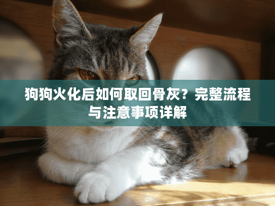 狗狗火化后如何取回骨灰？完整流程与注意事项详解