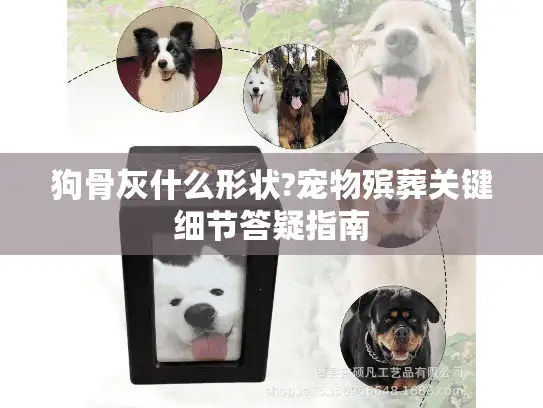 狗骨灰什么形状?宠物殡葬关键细节答疑指南