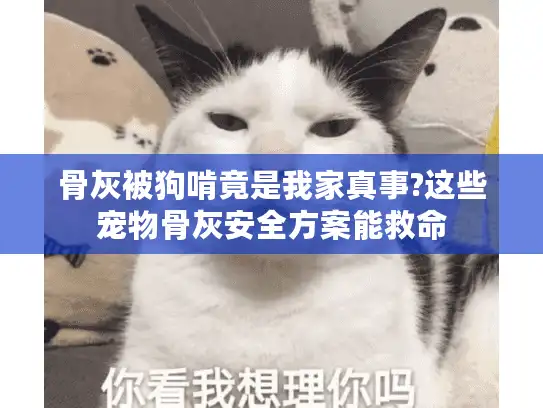 骨灰被狗啃竟是我家真事?这些宠物骨灰安全方案能救命
