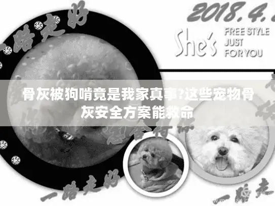 骨灰被狗啃竟是我家真事?这些宠物骨灰安全方案能救命