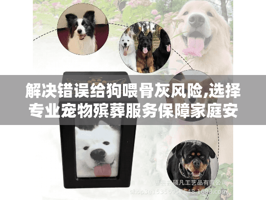 解决错误给狗喂骨灰风险,选择专业宠物殡葬服务保障家庭安全