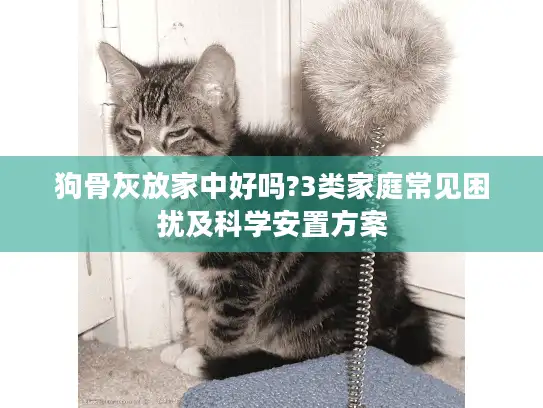 狗骨灰放家中好吗?3类家庭常见困扰及科学安置方案