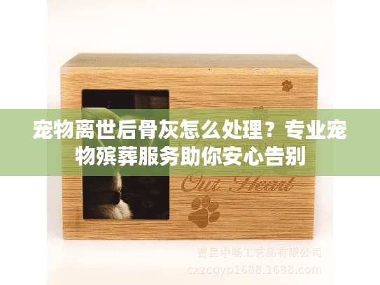 宠物离世后骨灰怎么处理？专业宠物殡葬服务助你安心告别