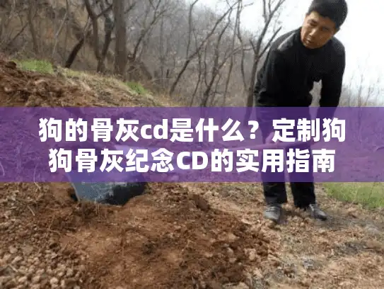 狗的骨灰cd是什么?定制狗狗骨灰纪念CD的实用指南 狗的骨灰cd是什么?定制狗狗骨灰纪念CD的实用指南