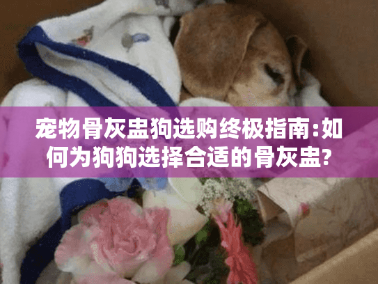 宠物骨灰盅狗选购终极指南:如何为狗狗选择合适的骨灰盅?