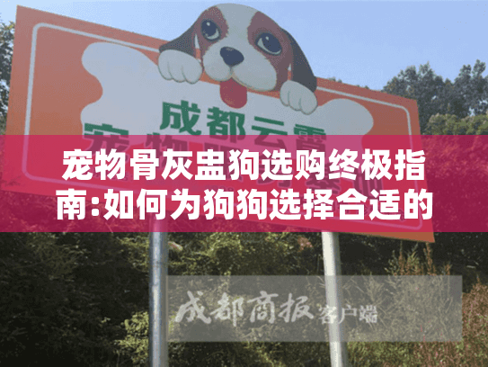 宠物骨灰盅狗选购终极指南:如何为狗狗选择合适的骨灰盅?