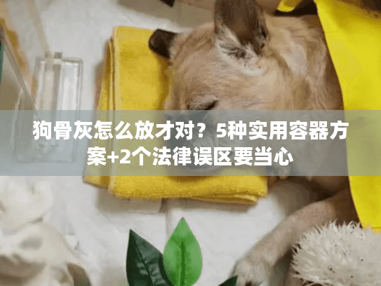 狗骨灰怎么放才对?5种实用容器方案+2个法律误区要当心 狗骨灰怎么放才对?5种实用容器方案+2个法律误区要当心