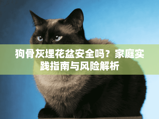 狗骨灰埋花盆安全吗？家庭实践指南与风险解析