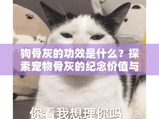 狗骨灰的功效是什么？探索宠物骨灰的纪念价值与情感慰藉