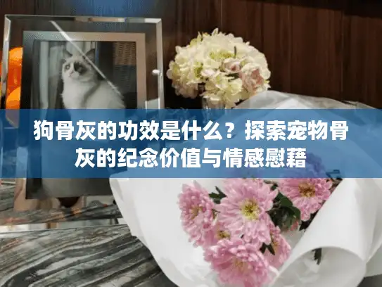狗骨灰的功效是什么？探索宠物骨灰的纪念价值与情感慰藉