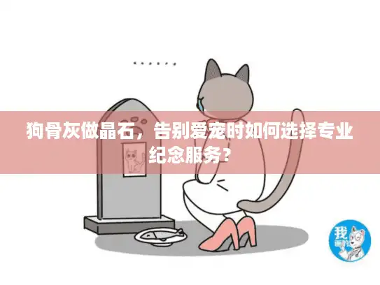 狗骨灰做晶石，告别爱宠时如何选择专业纪念服务？
