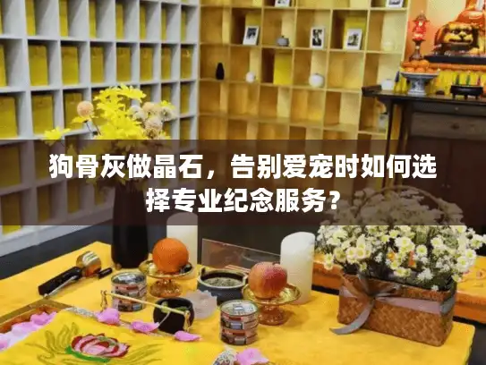 狗骨灰做晶石，告别爱宠时如何选择专业纪念服务？