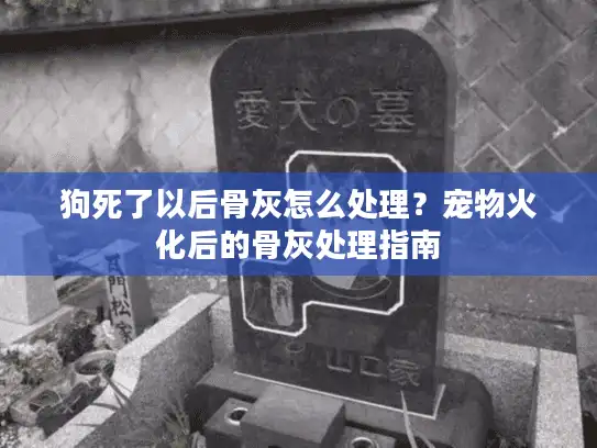 狗死了以后骨灰怎么处理？宠物火化后的骨灰处理指南