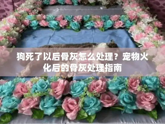 狗死了以后骨灰怎么处理？宠物火化后的骨灰处理指南