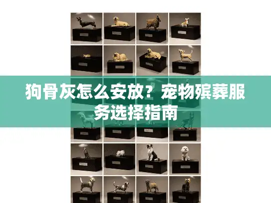 狗骨灰怎么安放?宠物殡葬服务选择指南 狗骨灰怎么安放?宠物殡葬服务选择指南