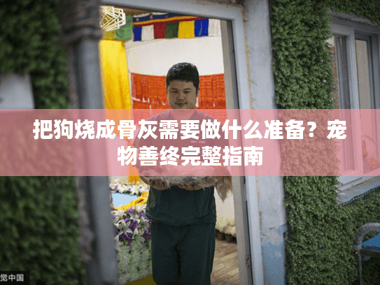 把狗烧成骨灰需要做什么准备？宠物善终完整指南