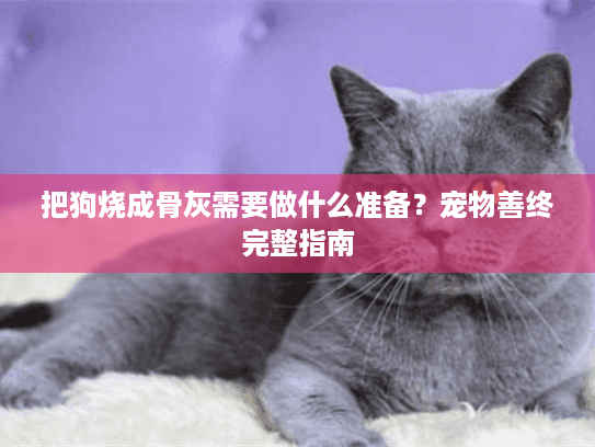 把狗烧成骨灰需要做什么准备？宠物善终完整指南