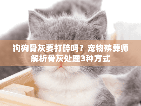 狗狗骨灰要打碎吗？宠物殡葬师解析骨灰处理3种方式