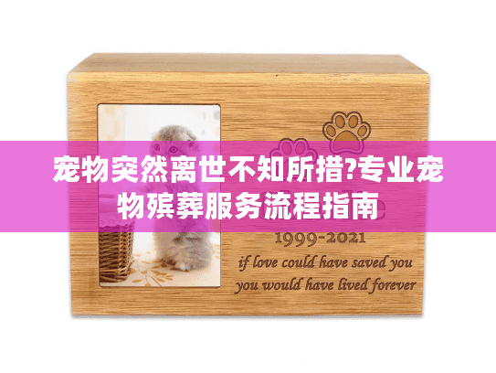 宠物突然离世不知所措?专业宠物殡葬服务流程指南