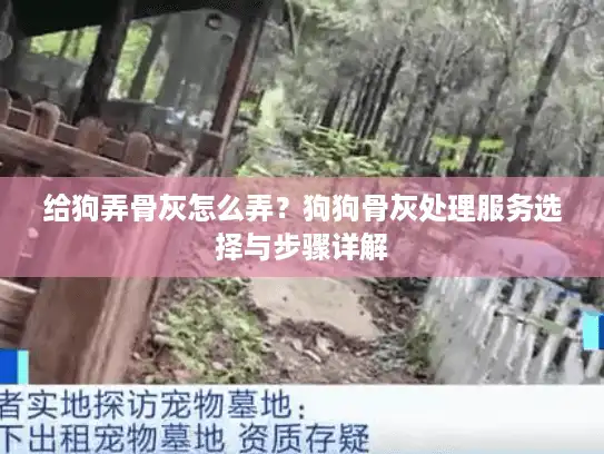 给狗弄骨灰怎么弄？狗狗骨灰处理服务选择与步骤详解