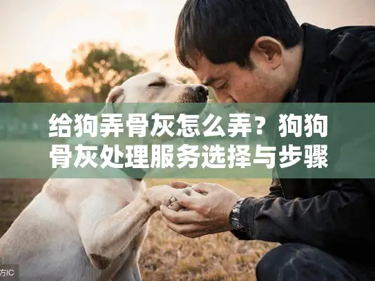 给狗弄骨灰怎么弄？狗狗骨灰处理服务选择与步骤详解