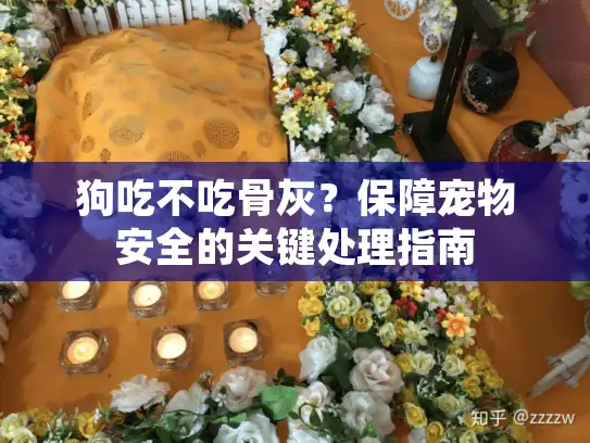 狗吃不吃骨灰？保障宠物安全的关键处理指南