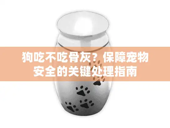 狗吃不吃骨灰？保障宠物安全的关键处理指南
