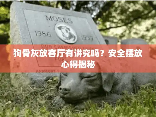 狗骨灰放客厅有讲究吗？安全摆放心得揭秘