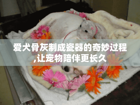 爱犬骨灰制成瓷器的奇妙过程,让宠物陪伴更长久