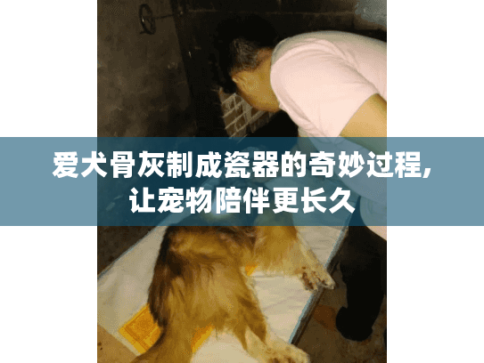 爱犬骨灰制成瓷器的奇妙过程,让宠物陪伴更长久