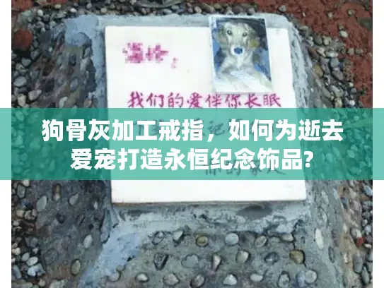 狗骨灰加工戒指,如何为逝去爱宠打造永恒纪念饰品? 狗骨灰加工戒指,如何为逝去爱宠打造永恒纪念饰品?