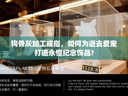 狗骨灰加工戒指,如何为逝去爱宠打造永恒纪念饰品? 狗骨灰加工戒指,如何为逝去爱宠打造永恒纪念饰品?