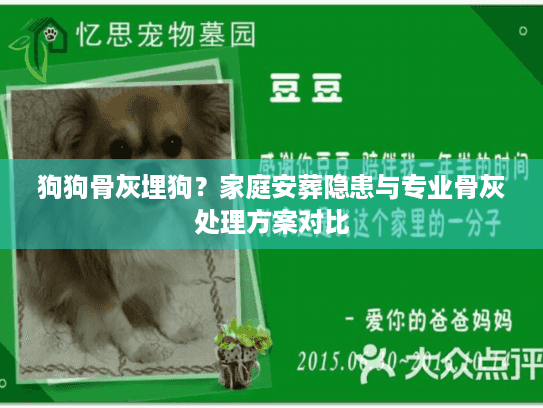 狗狗骨灰埋狗？家庭安葬隐患与专业骨灰处理方案对比