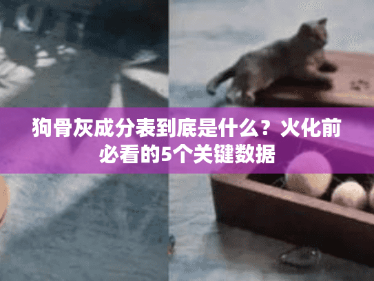 狗骨灰成分表到底是什么?火化前必看的5个关键数据 狗骨灰成分表到底是什么?火化前必看的5个关键数据