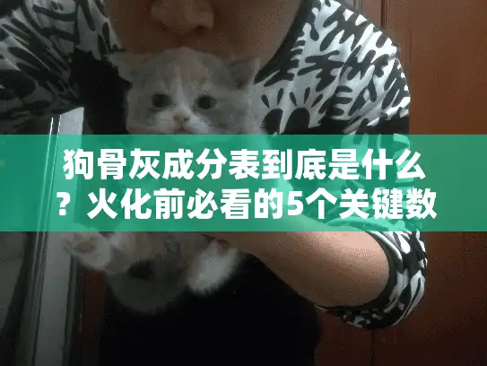 狗骨灰成分表到底是什么?火化前必看的5个关键数据 狗骨灰成分表到底是什么?火化前必看的5个关键数据