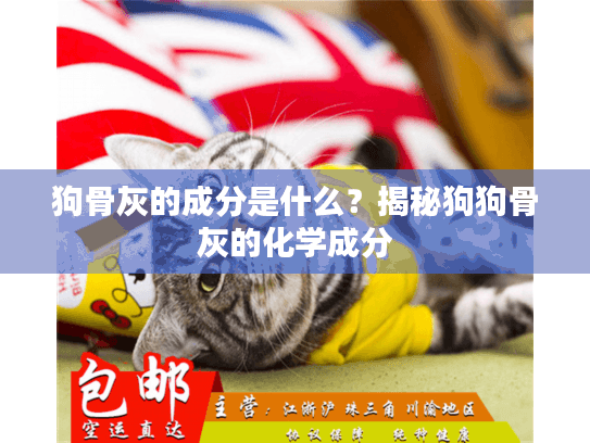 狗骨灰的成分是什么?揭秘狗狗骨灰的化学成分 狗骨灰的成分是什么?揭秘狗狗骨灰的化学成分