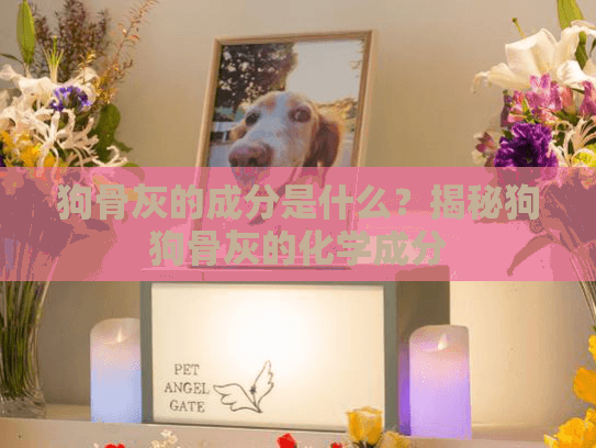 狗骨灰的成分是什么?揭秘狗狗骨灰的化学成分 狗骨灰的成分是什么?揭秘狗狗骨灰的化学成分