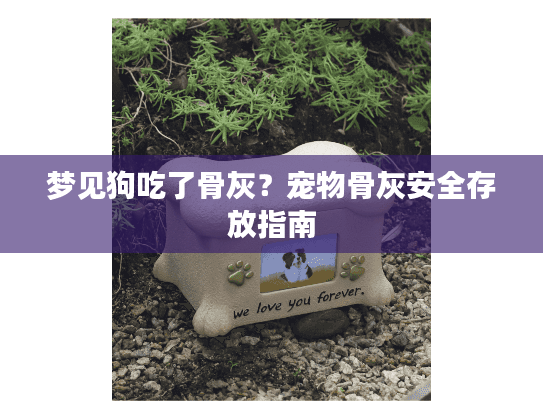 梦见狗吃了骨灰？宠物骨灰安全存放指南