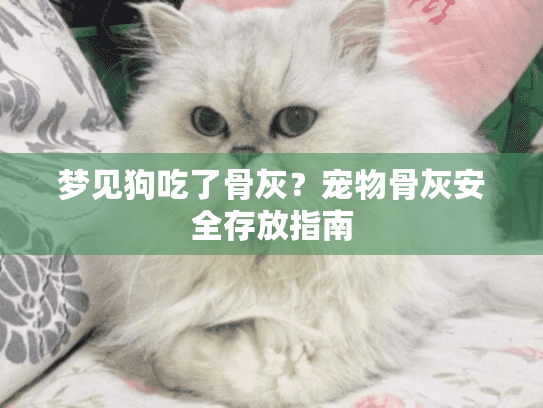 梦见狗吃了骨灰？宠物骨灰安全存放指南