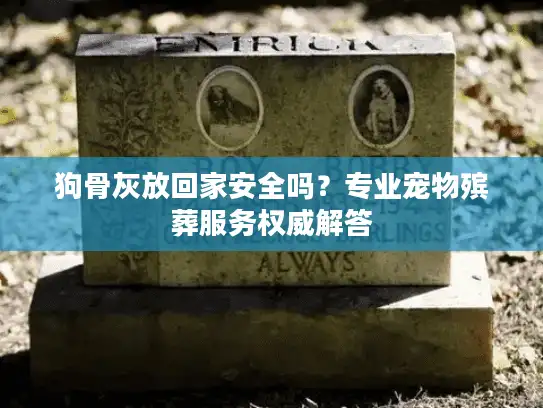 狗骨灰放回家安全吗？专业宠物殡葬服务权威解答