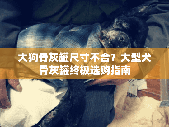 大狗骨灰罐尺寸不合？大型犬骨灰罐终极选购指南