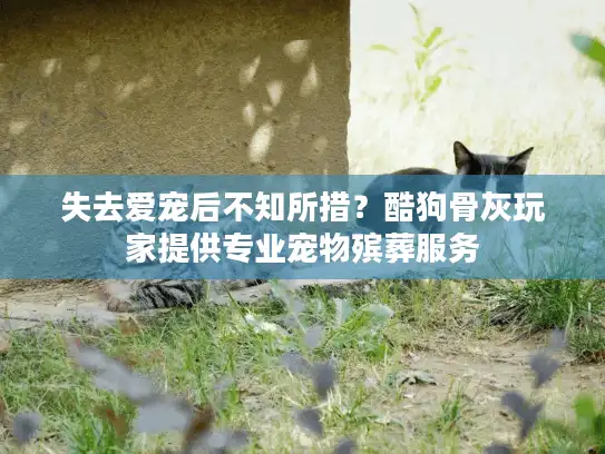 失去爱宠后不知所措？酷狗骨灰玩家提供专业宠物殡葬服务
