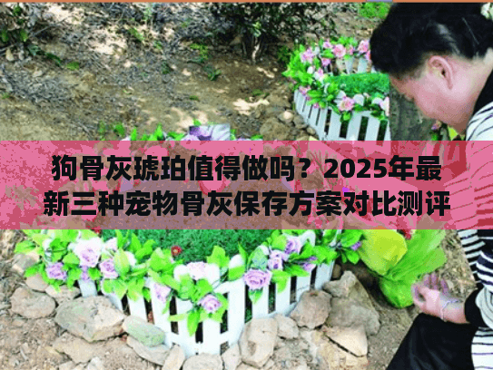狗骨灰琥珀值得做吗？2025年最新三种宠物骨灰保存方案对比测评