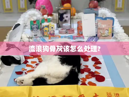 流浪狗骨灰该怎么处理?