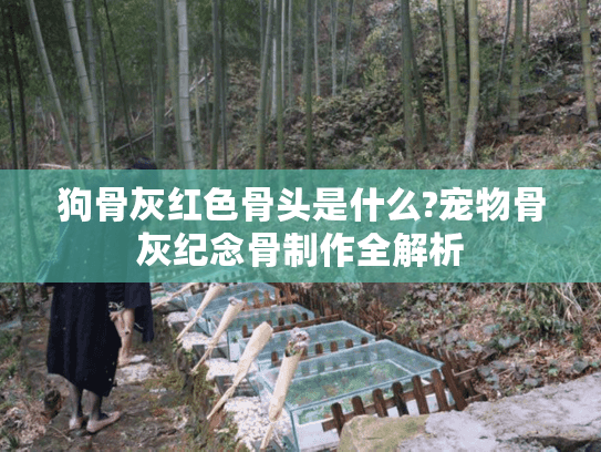 狗骨灰红色骨头是什么?宠物骨灰纪念骨制作全解析