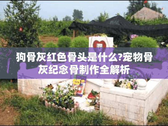 狗骨灰红色骨头是什么?宠物骨灰纪念骨制作全解析