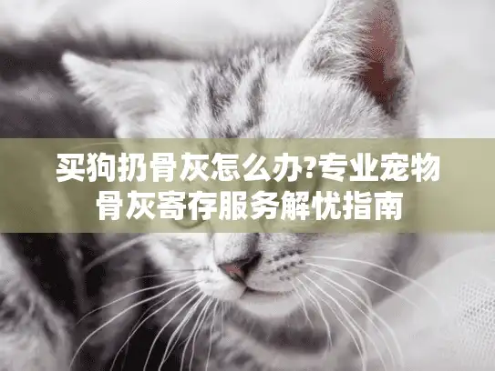 买狗扔骨灰怎么办?专业宠物骨灰寄存服务解忧指南 买狗扔骨灰怎么办?专业宠物骨灰寄存服务解忧指南