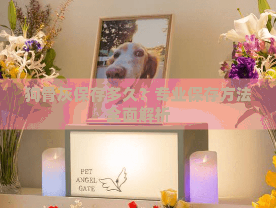 狗骨灰保存多久？专业保存方法全面解析