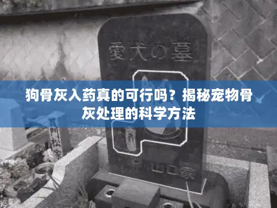 狗骨灰入药真的可行吗?揭秘宠物骨灰处理的科学方法 狗骨灰入药真的可行吗?揭秘宠物骨灰处理的科学方法
